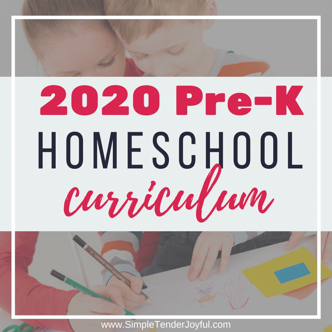 2020 pre k homeschool curriculum: what we actually use –