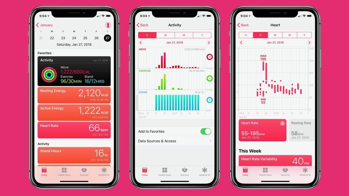 Apple Health Guide: The Powerful Fitness App Explained