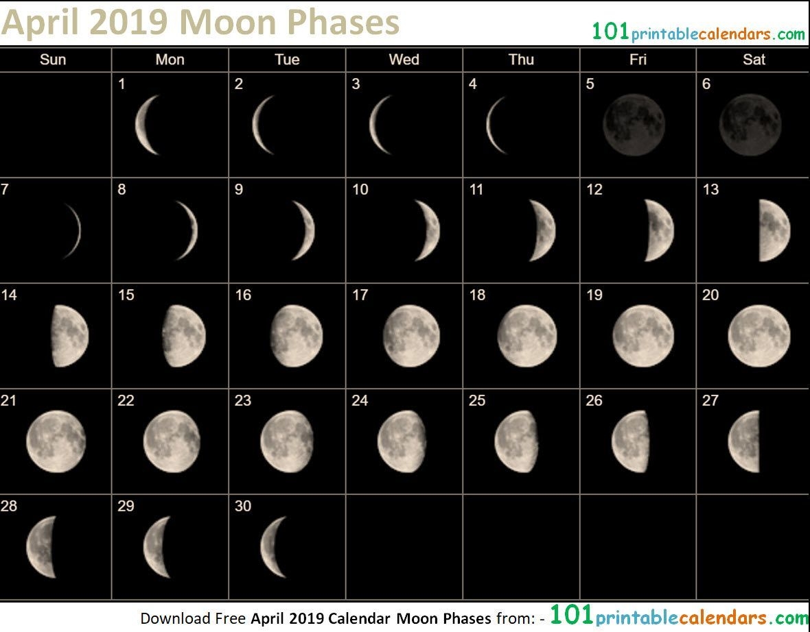 april 2019 calendar moon phases | moon phases, moon, 2019