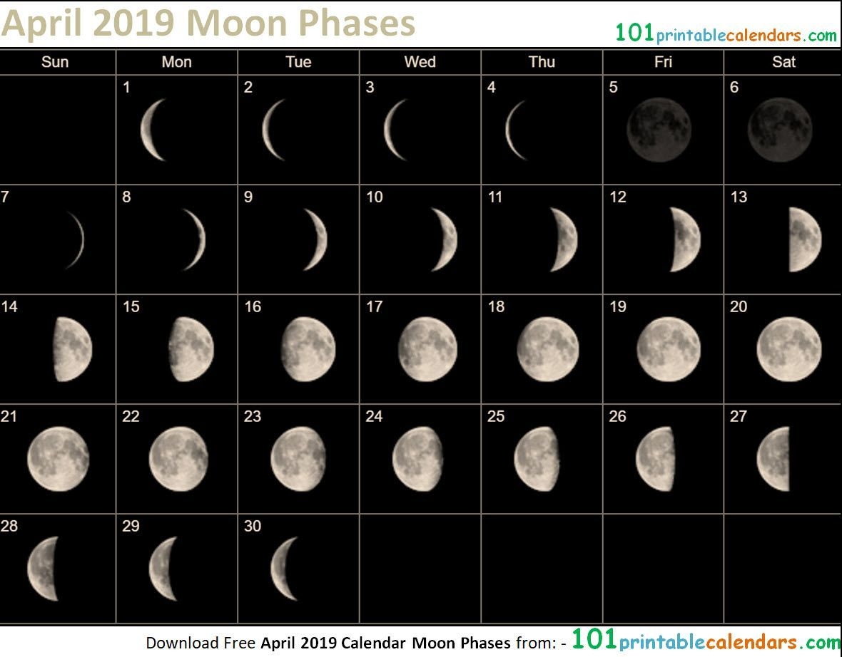 April 2019 Calendar Moon Phases | Moon Phases, Moon, 2019