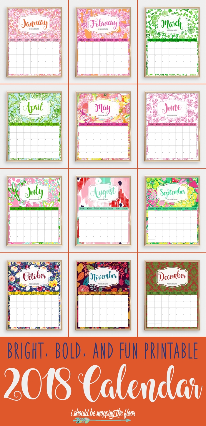 colorful 2018 printable calendar | i should be mopping the floor