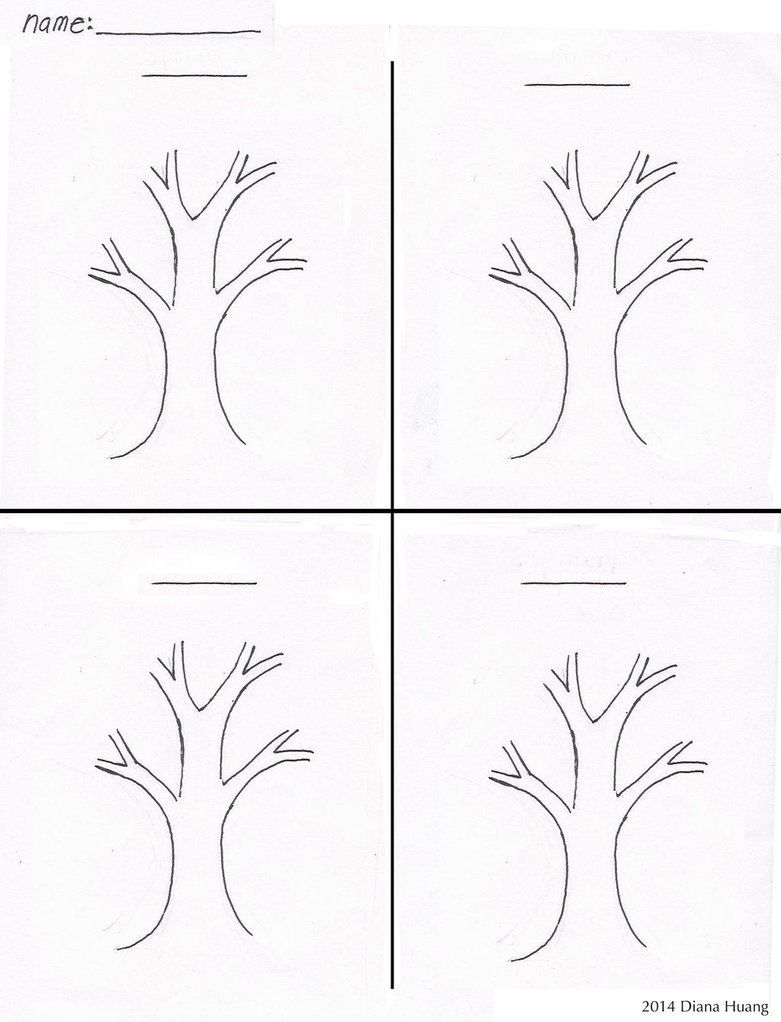 Four Seasons Tree Drawing Template Worksheetdiana Huang