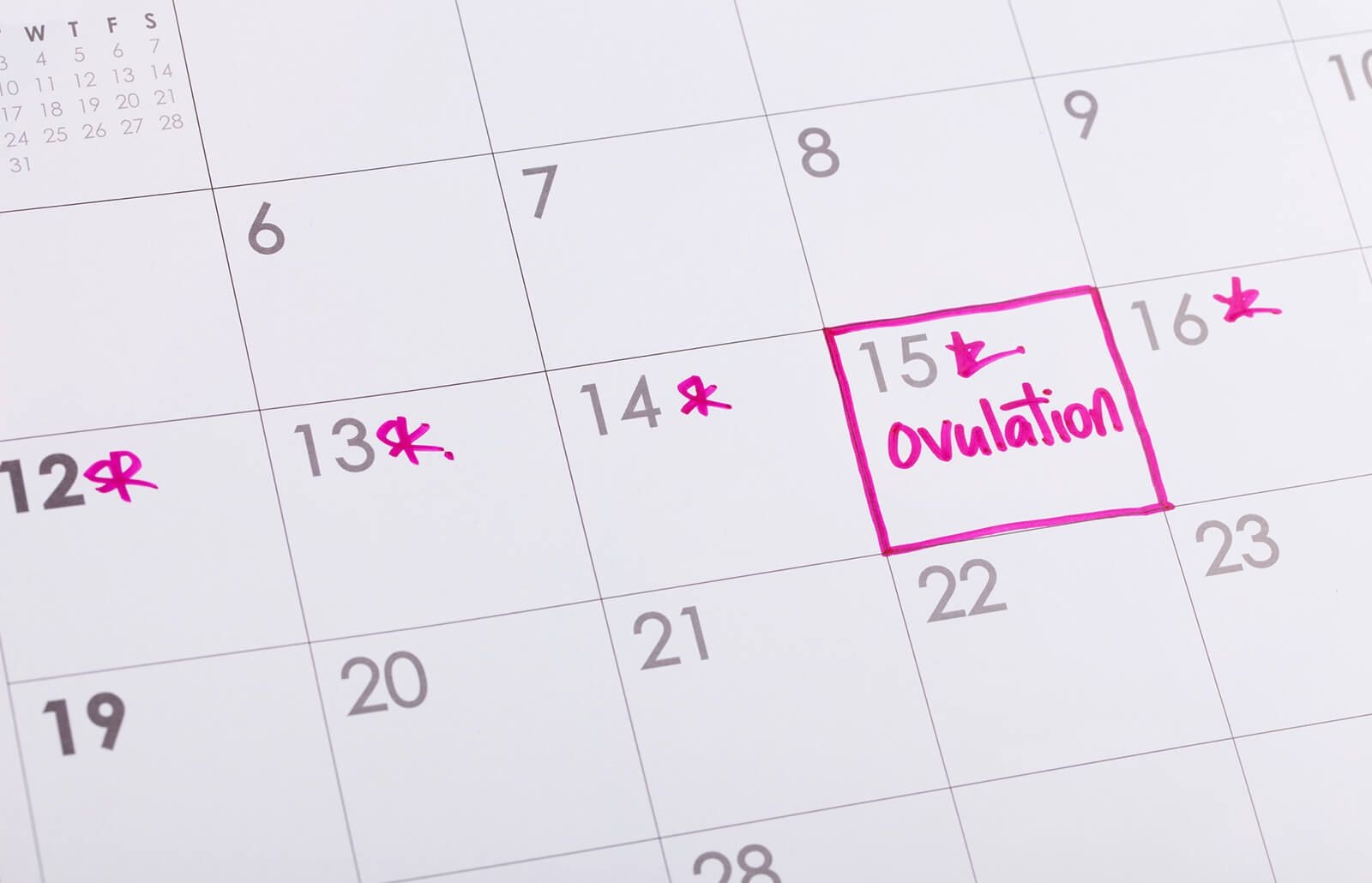 How To Make And Use An Ovulation Chart | Lovetoknow