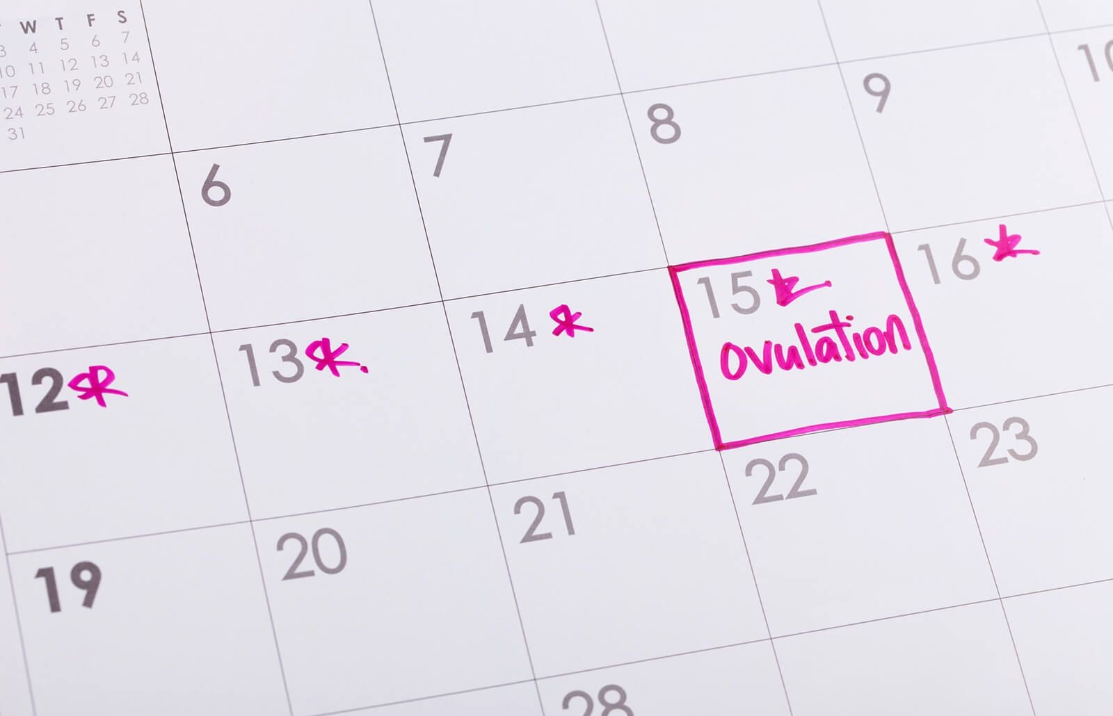 how to make and use an ovulation chart | lovetoknow