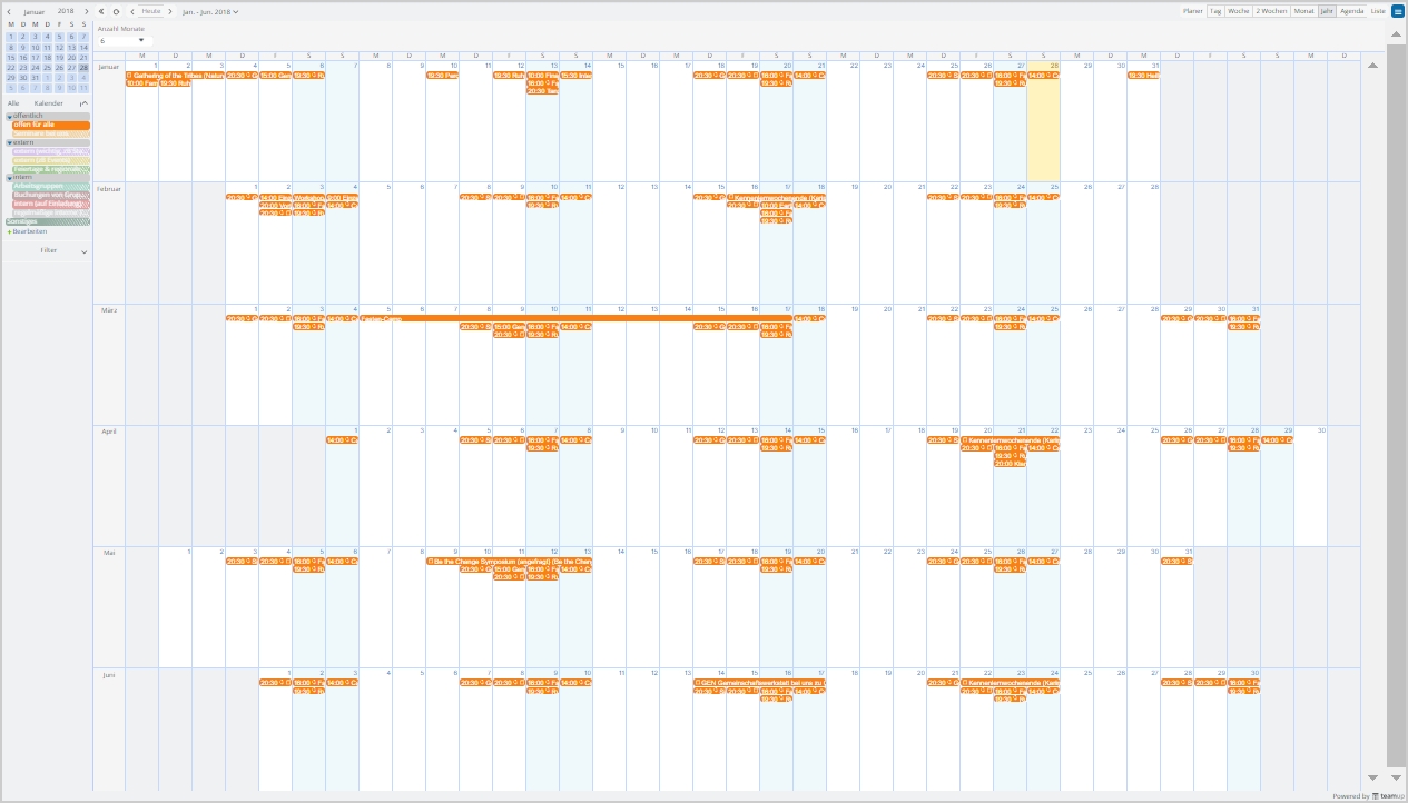 Long Term Planning With Year Or Multi Month View | Teamup