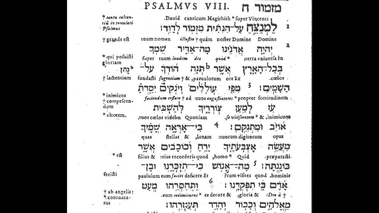 Montanus Psalm 8 Learn Latin And Hebrew Tehillim תהלים Flv