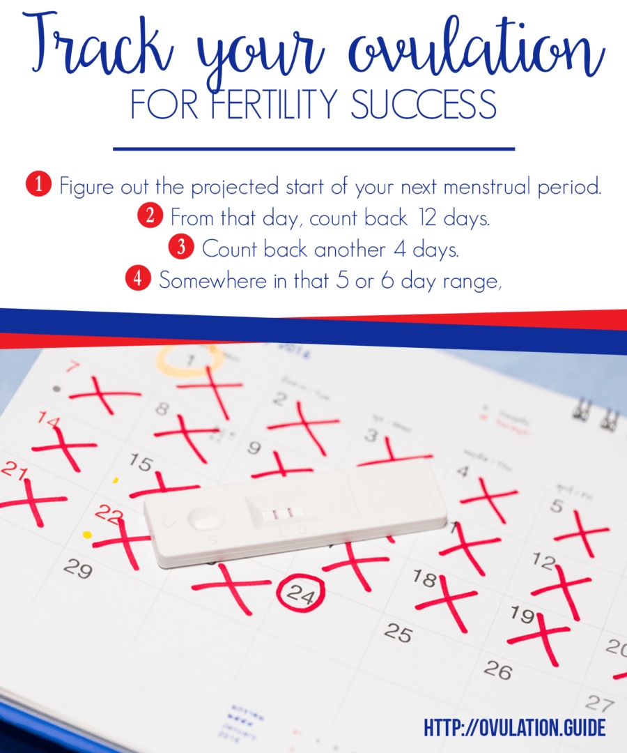 Ovulation Calendar And Knowing Your Fertile Days | Ovulation