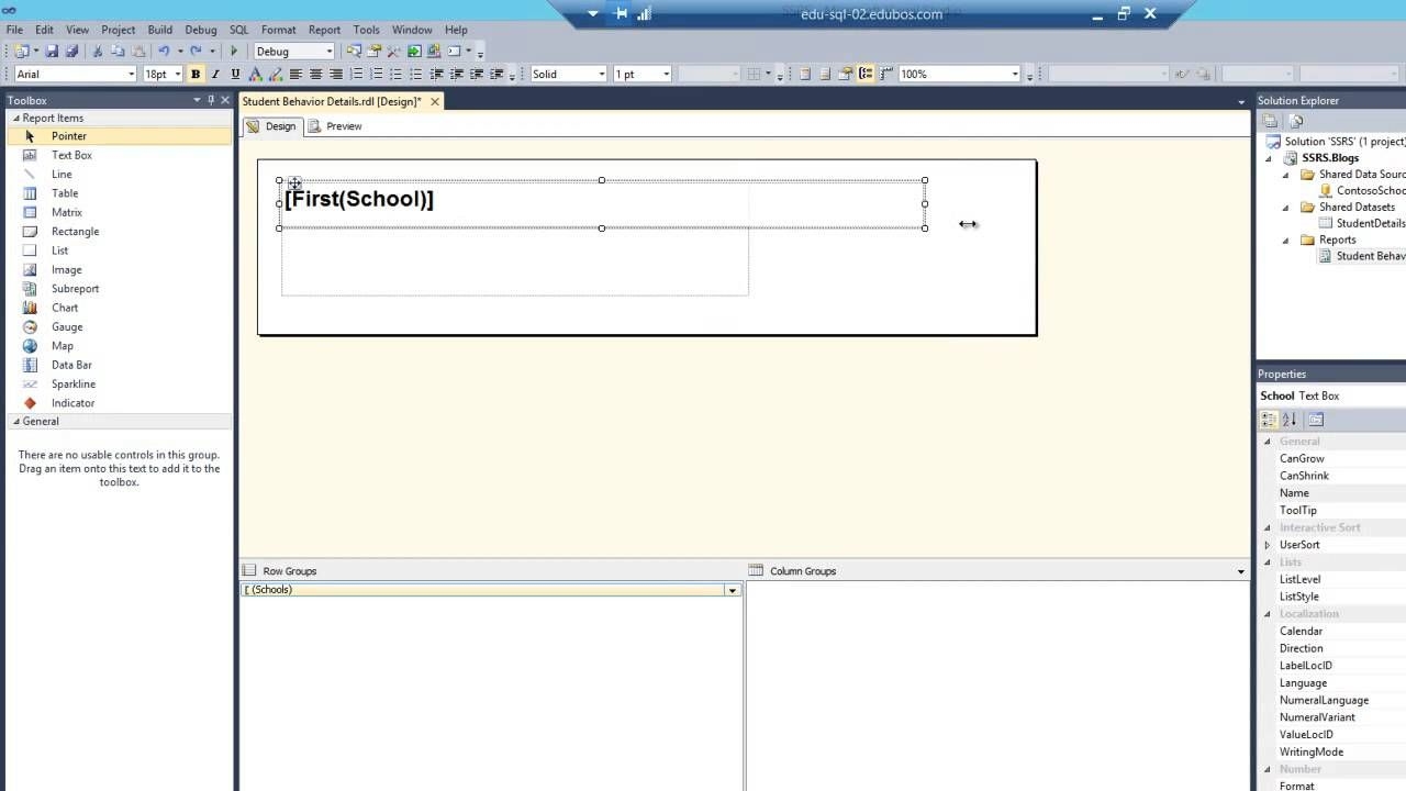 Ssrs Using A List Item To Display Details