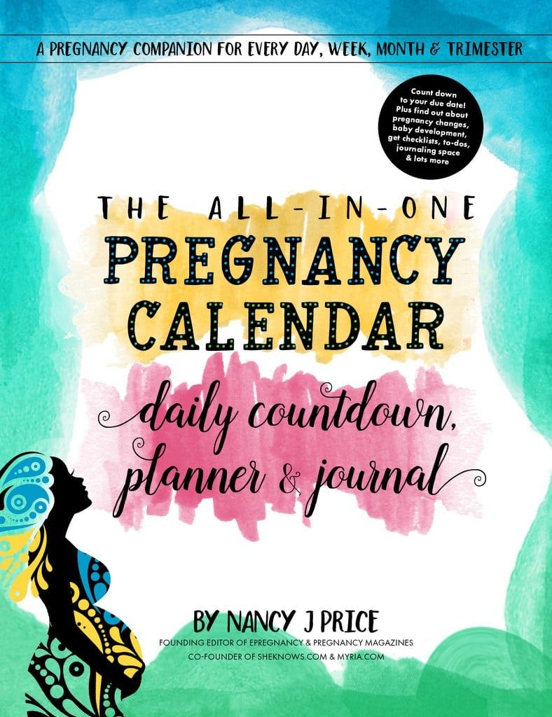 The All In One Pregnancy Calendar, Daily Countdown, Planner