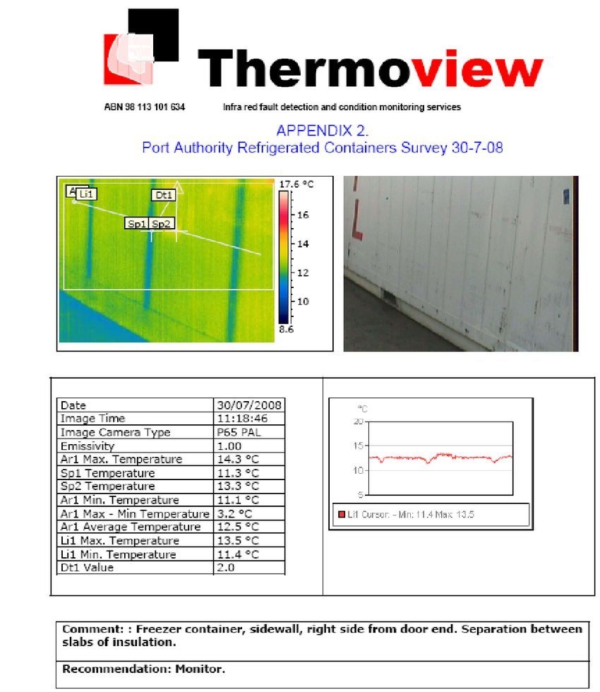 example of a page of the report containing the thermographic