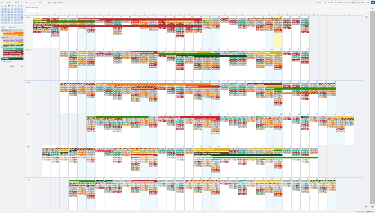 Long Term Planning With Year Or Multi Month View | Teamup