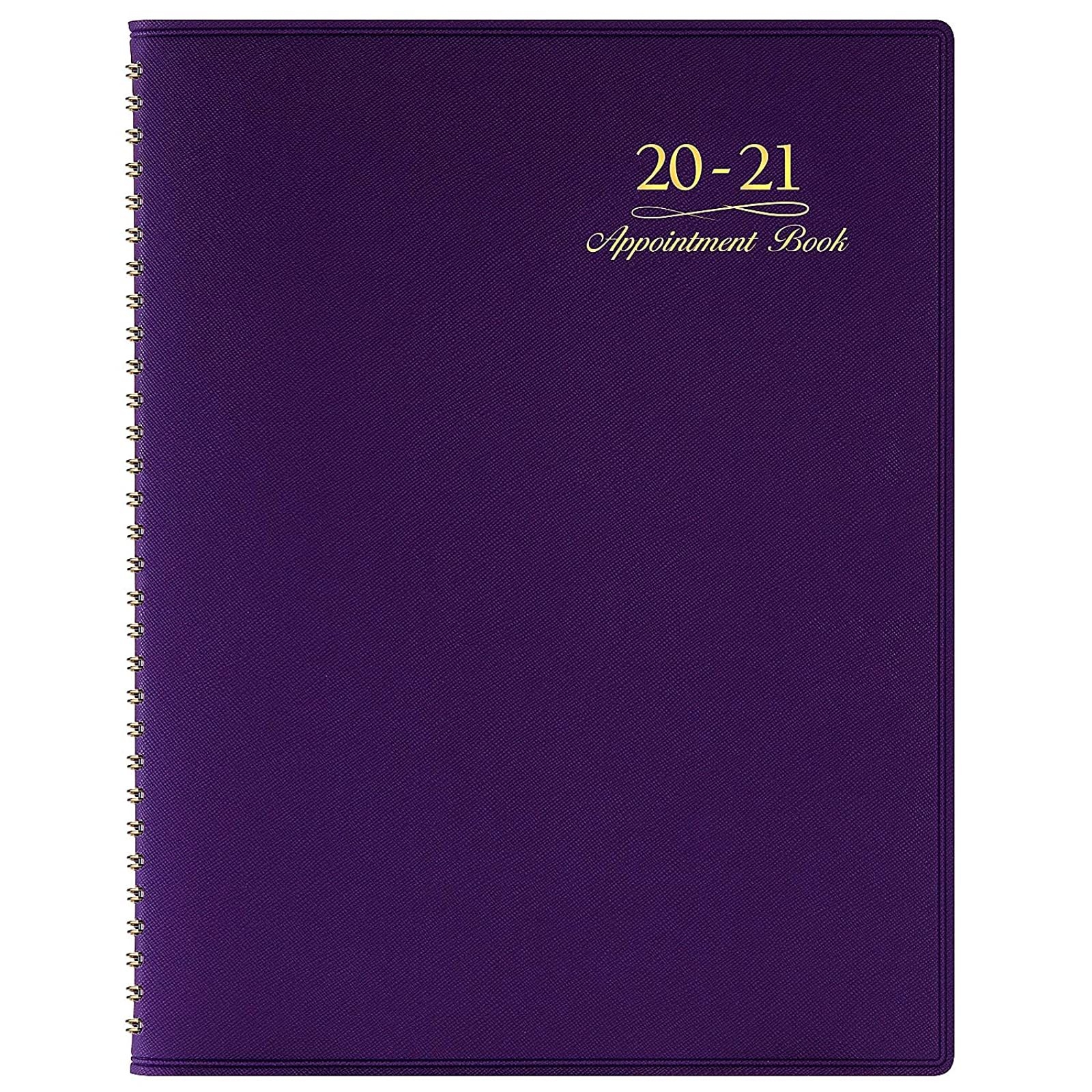 2020 2021 Weekly Appointment Book & Planner 2020 2021