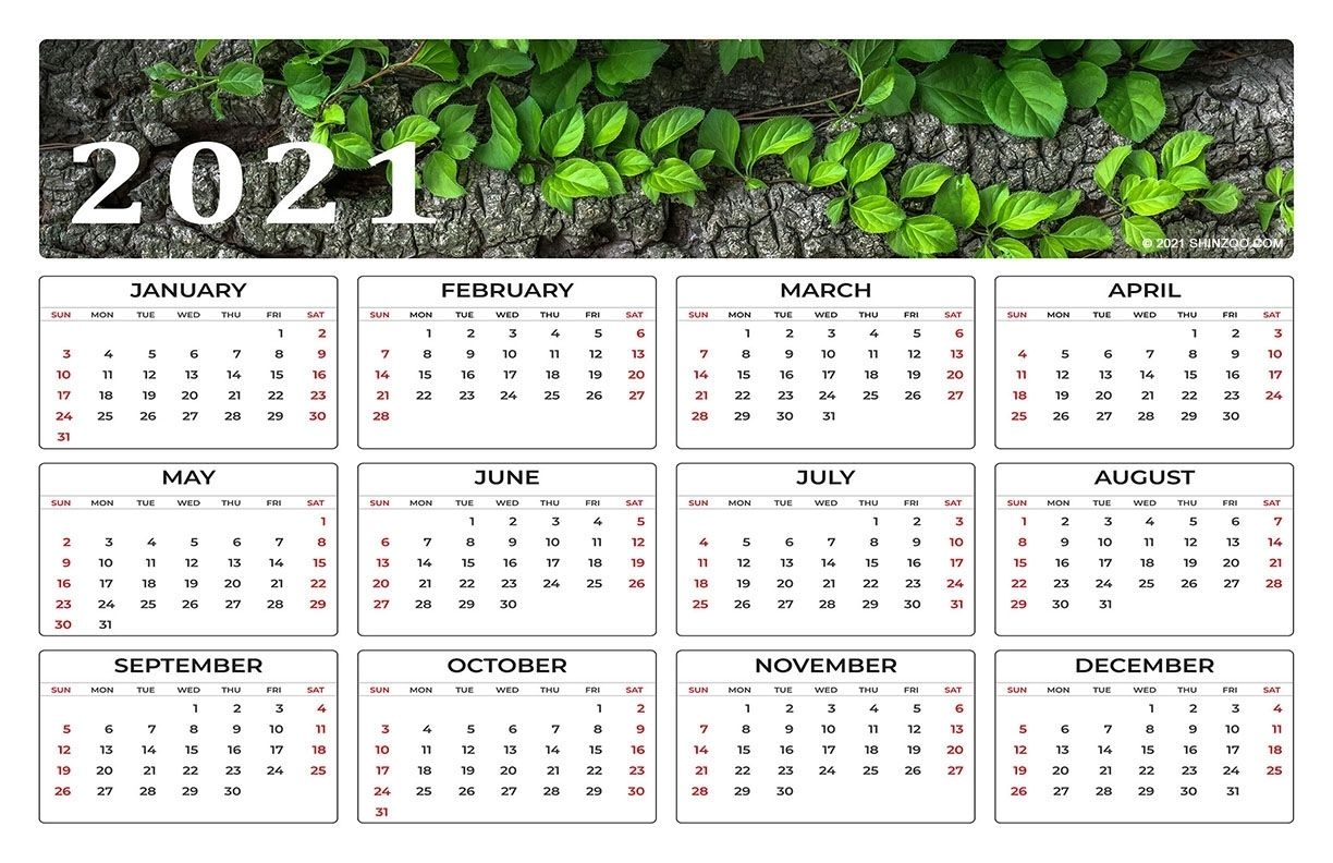 2021 Calendar At A Glance 11×17 | Month Calendar Printable