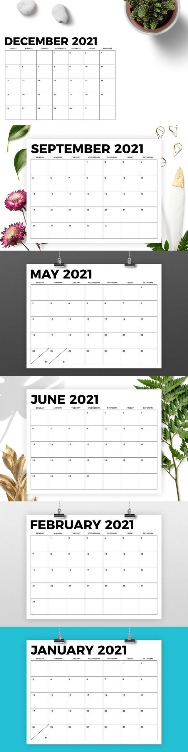 8 5 x 11 inch bold 2021 calendar in 2020 | calendar