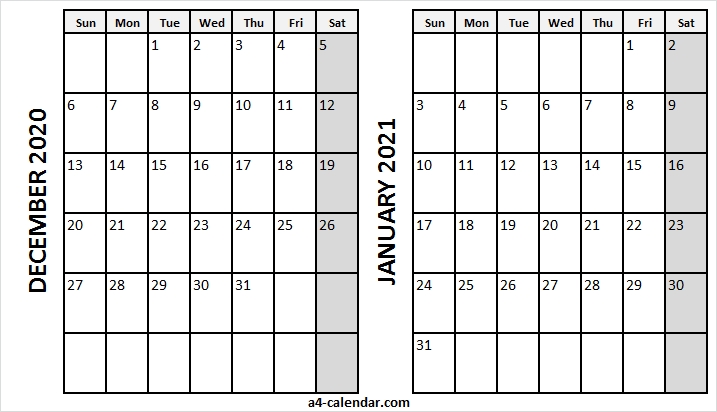 Download Calendar January 2021 / Printable January 2021