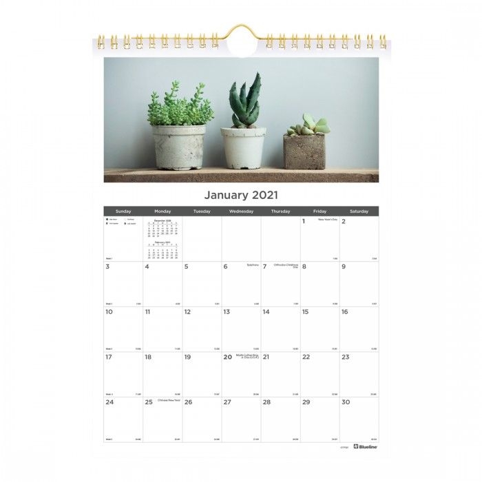 monthly wall calendar, succulent plants design 2021 | rediform