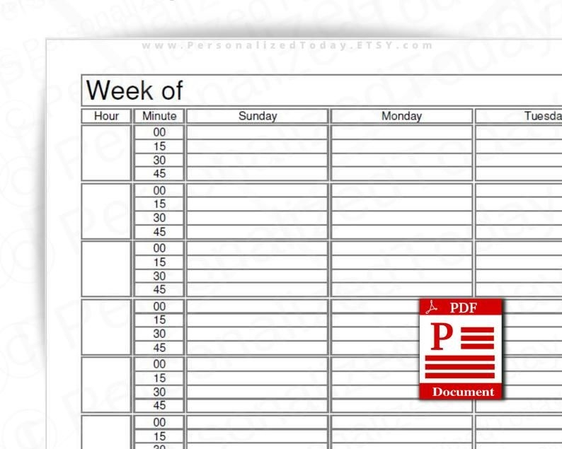 Weekly 15 Minute Time Increment Planner Fillable Editable