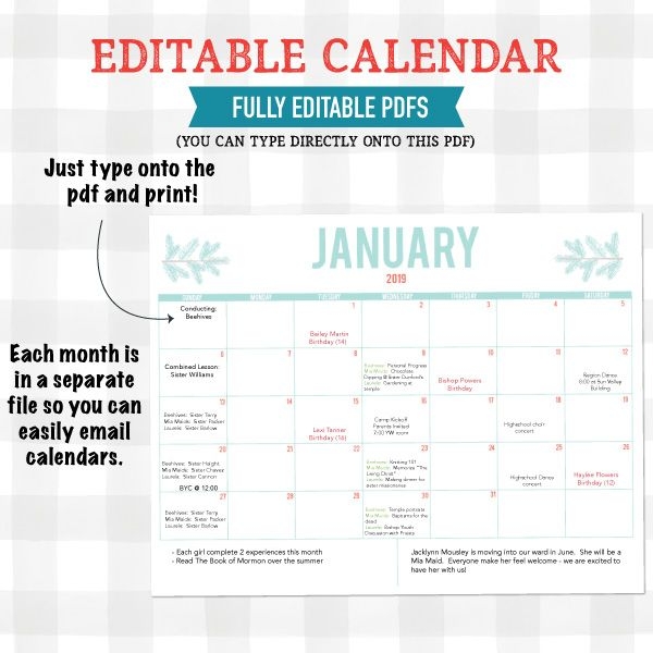 2019 Editable Calendar Any Organization (pdf Download