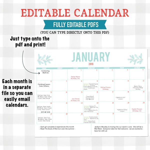 2019 editable calendar any organization (pdf download