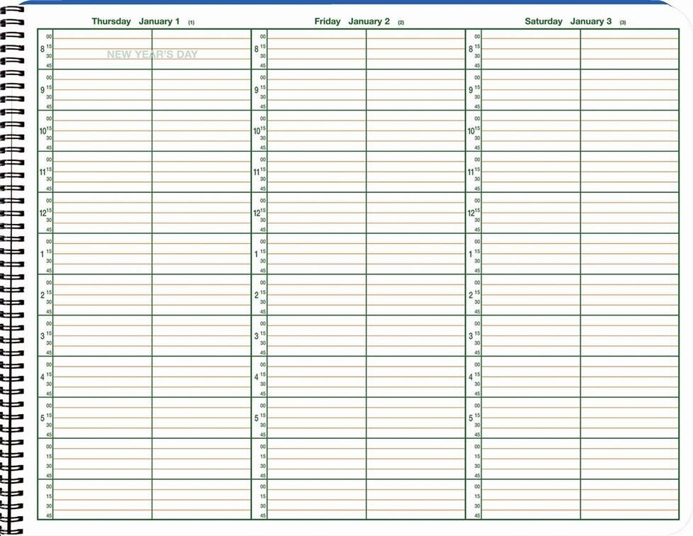 appointment schedule template 15 minute increments