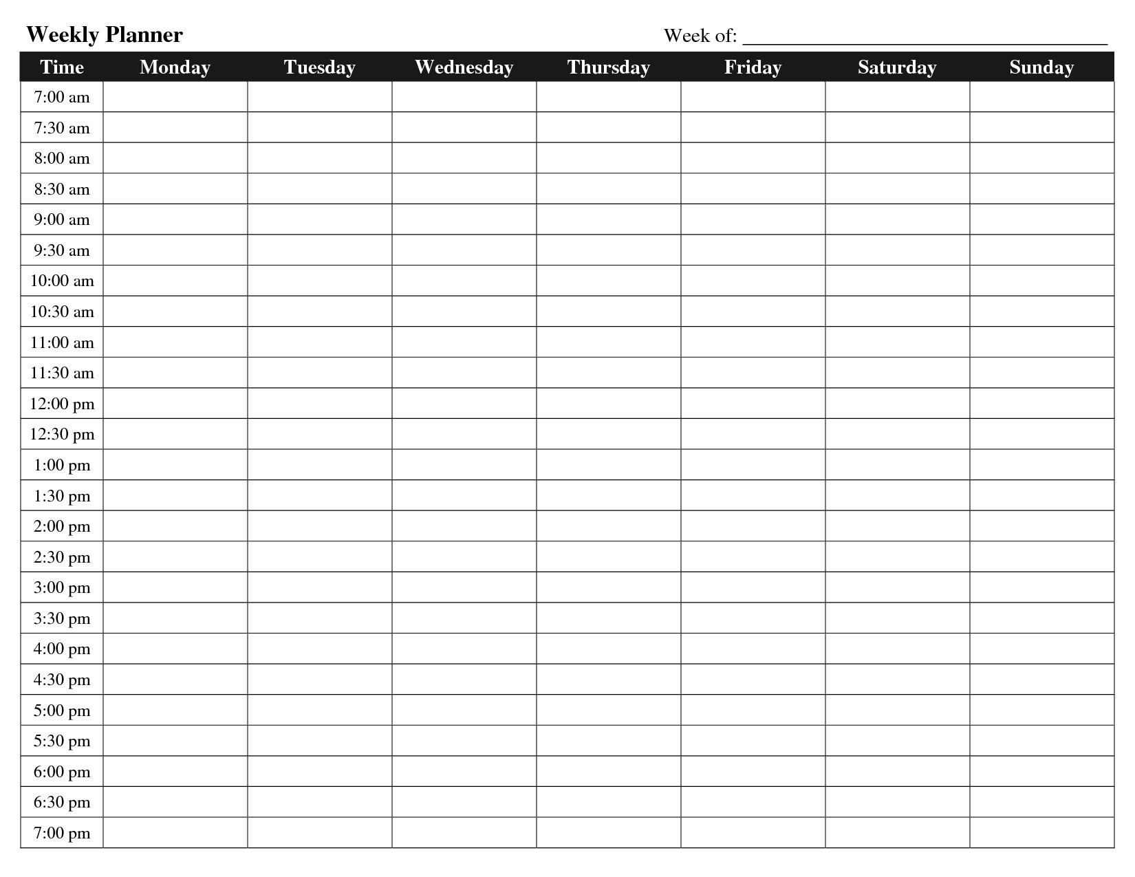 blank daily schedule with time slots calendar