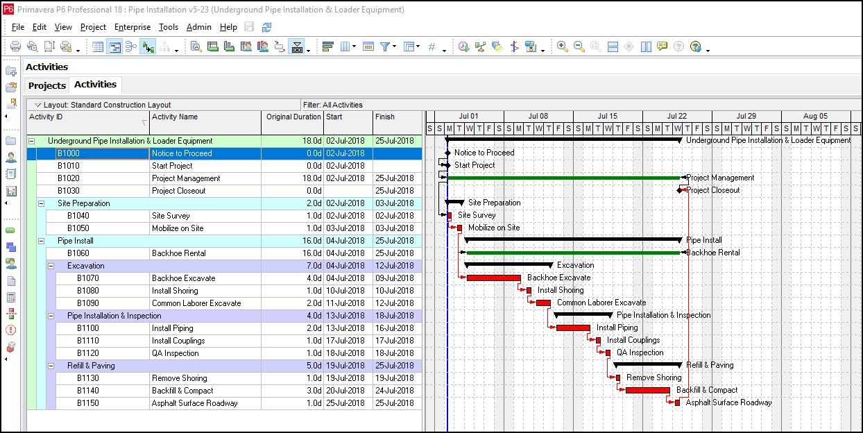 how to display text on the primavera p6 gantt chart