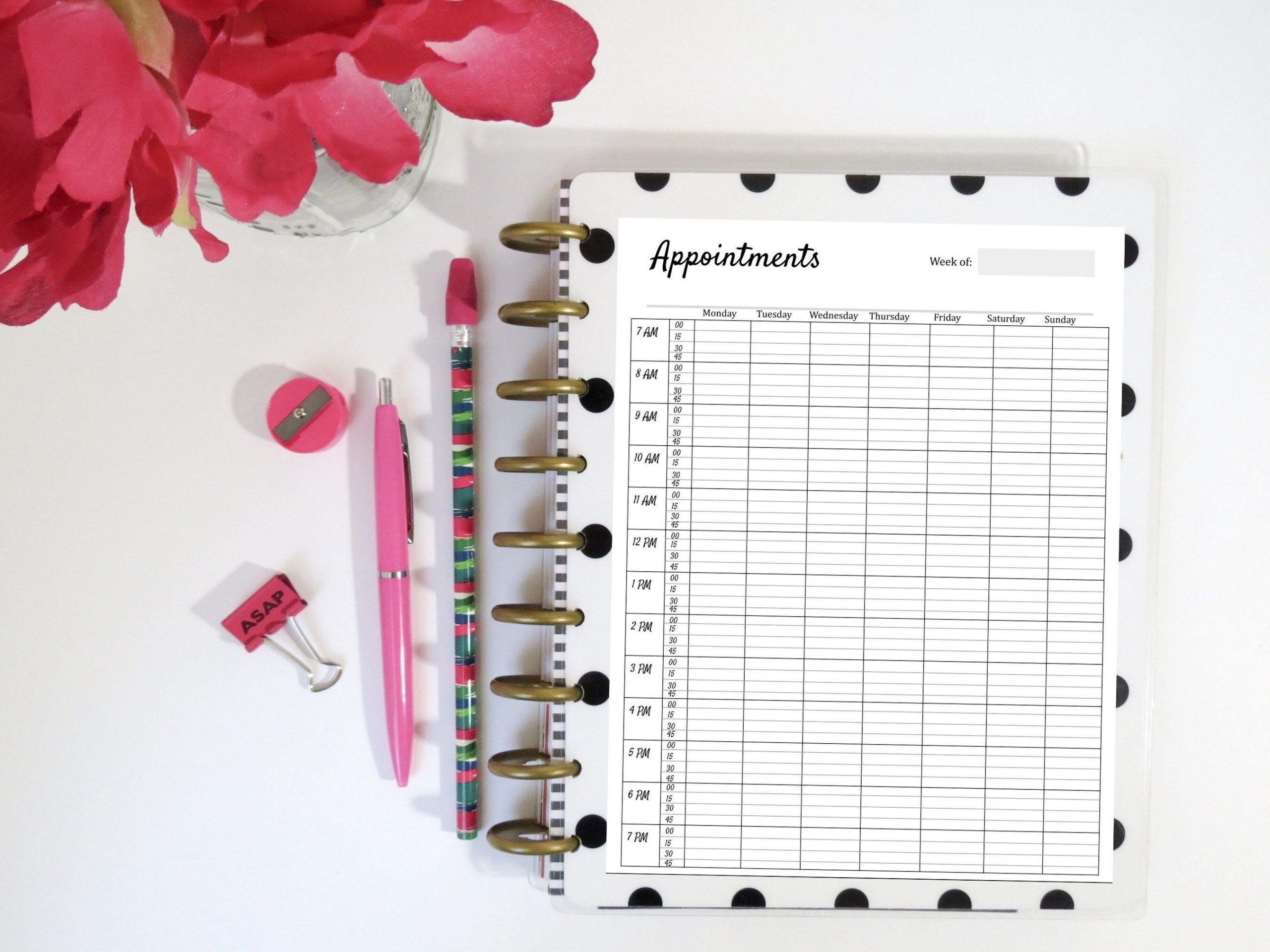 printable appointment book 15 minute increments weekly | etsy
