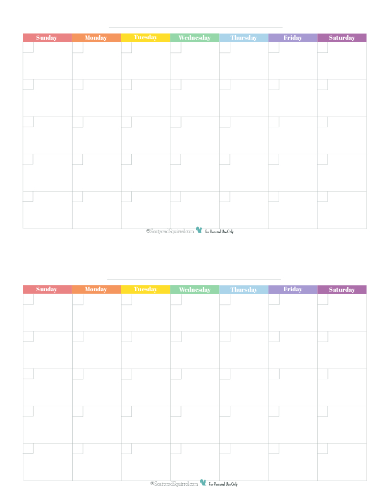 Blank Monthly Calendar Half Size Rainbow Scattered Squirrel