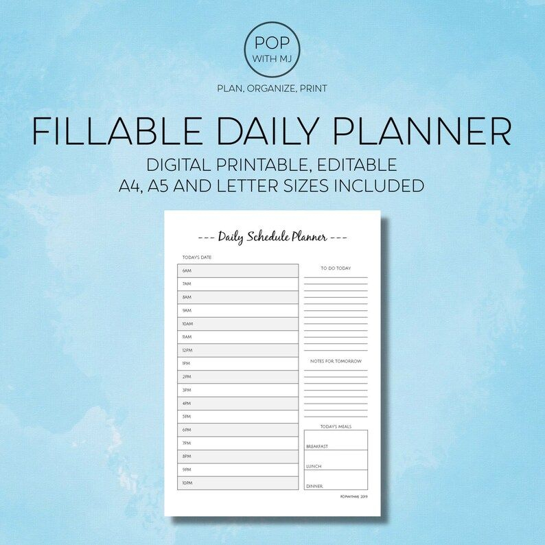 Daily Schedule Planner Fillable Daily Planner Editable