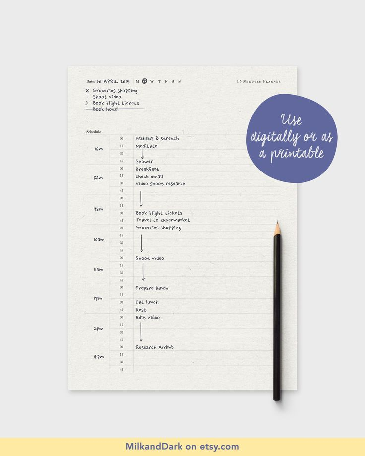 Daily Schedule Planner Printable 15 Minutes Tracker To Do