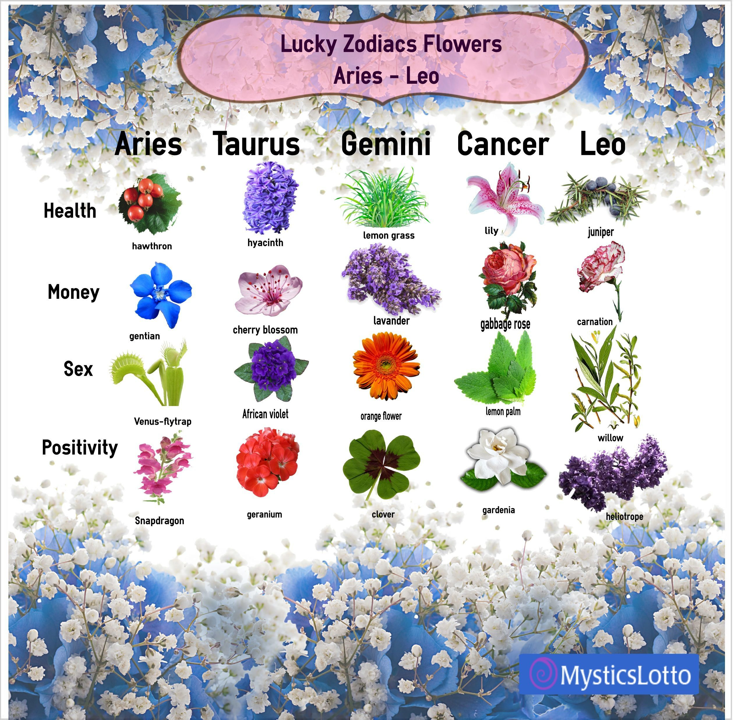 Flower Of The Zodiac Sign Google Search | Planting