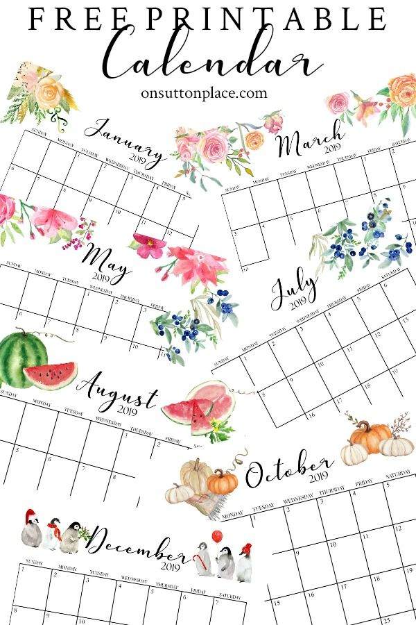 free printable calendar 2019 (monthly calendar) | on