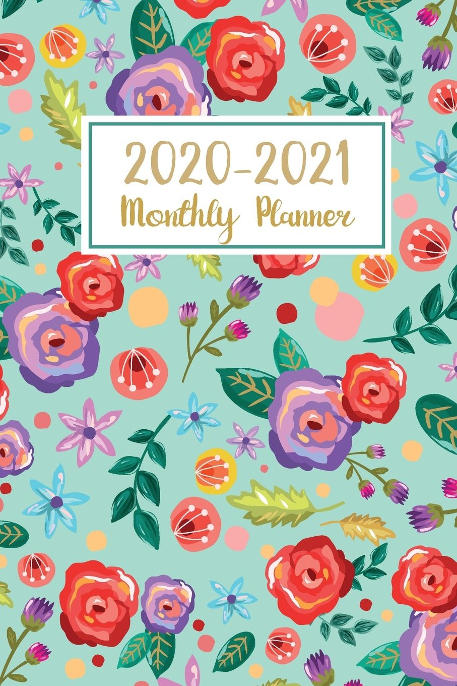 Plan Ahead 2 Year Calendar 2020 2021 Monthly Planner: 2020