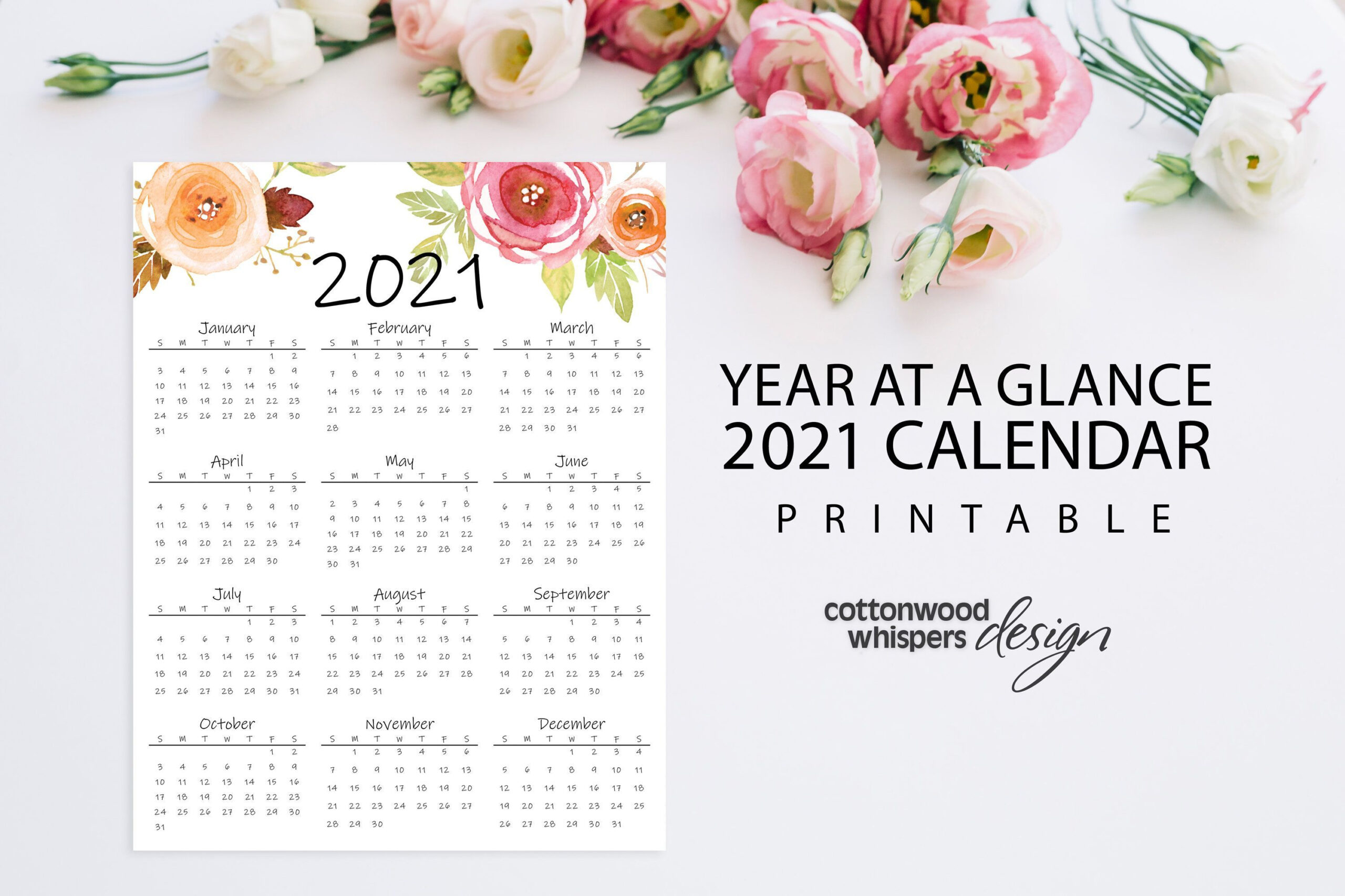 Year At A Glance Calendar 2021 | Printable Calendar