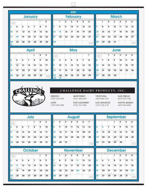 Year At A Glance Calendar